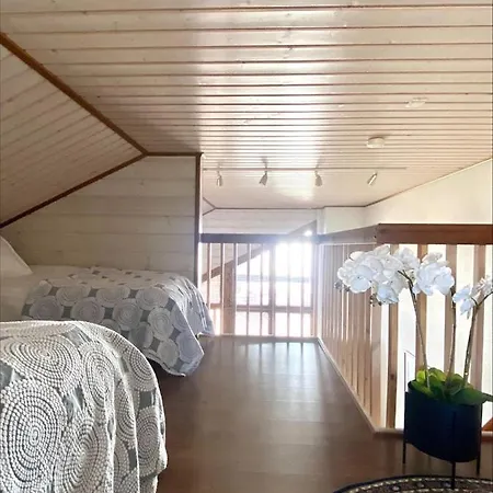 Himos Moekki Superior בקתה Jämsä