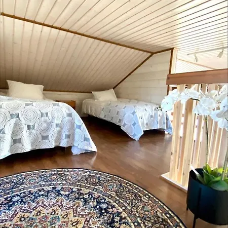 Himos Superior - Superior Ski-in-ski-out